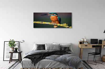 Fototryck canvas Färgglad fågel på en gren