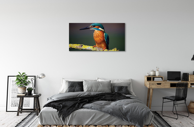 Fototryck canvas Färgglad fågel på en gren