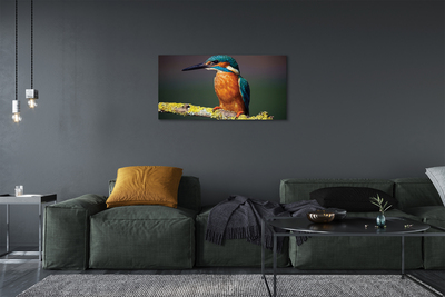 Fototryck canvas Färgglad fågel på en gren