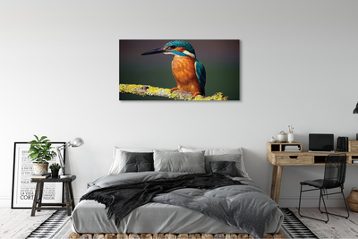 Fototryck canvas Färgglad fågel på en gren