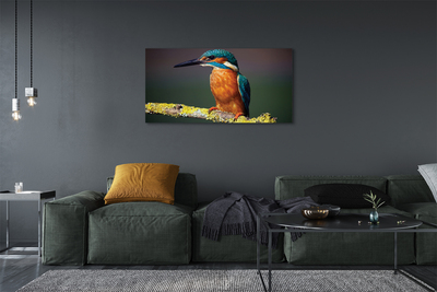 Fototryck canvas Färgglad fågel på en gren