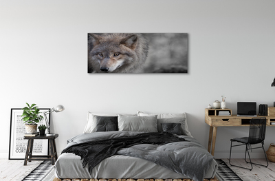 Fototryck canvas Varg