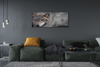 Fototryck canvas Varg