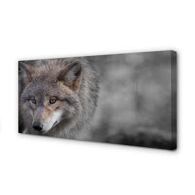 Fototryck canvas Varg