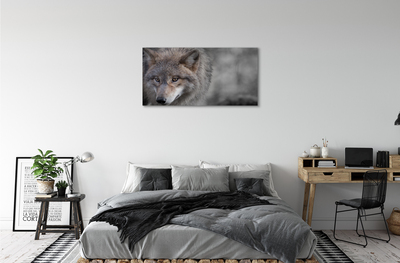 Fototryck canvas Varg