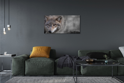 Fototryck canvas Varg