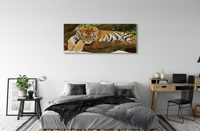 Canvastavla Tigerträd