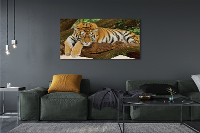 Canvastavla Tigerträd