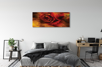 Bild på canvas Rose bild