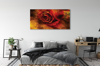 Bild på canvas Rose bild