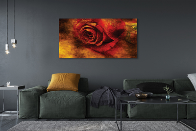 Bild på canvas Rose bild