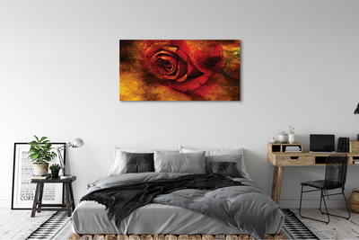 Bild på canvas Rose bild