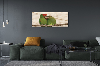 Canvas bild Gröna papegojor