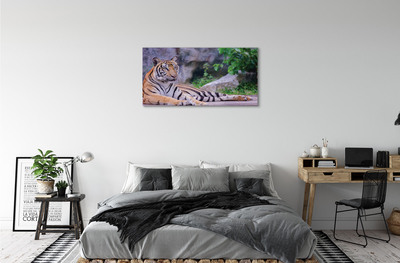 Canvas bild Tiger i djurparken