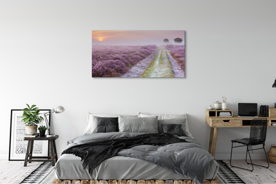 Fototryck canvas Ljungfält