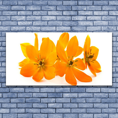 Canvas bild Orange växtblommor