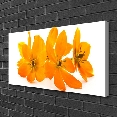 Canvas bild Orange växtblommor