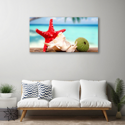 Bild på canvas Seashell Starfish Art