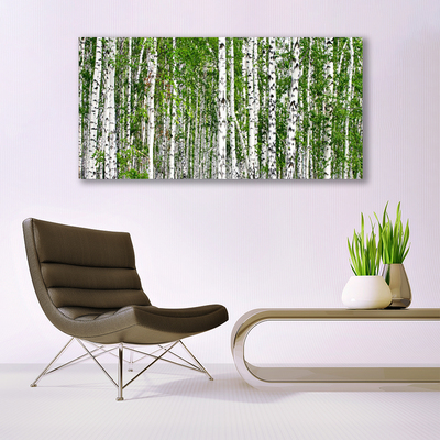 Fototryck canvas Björkskogsträd Natur