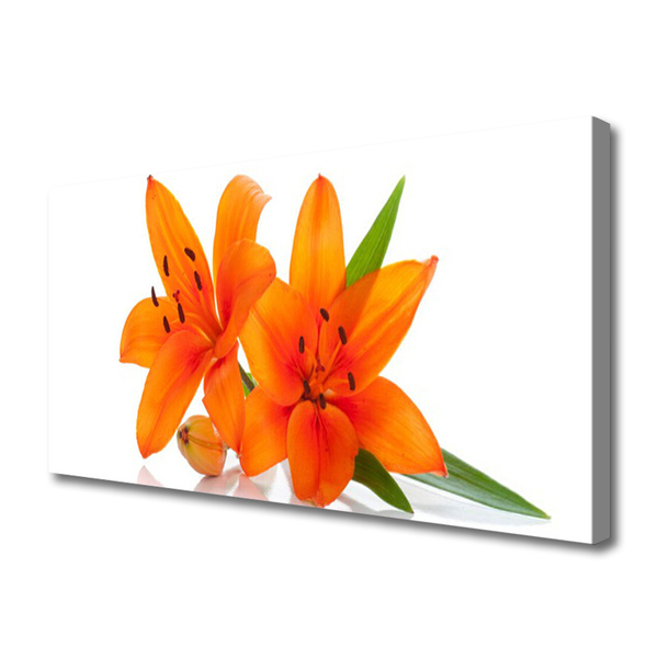 Canvas bild Orange växtblommor