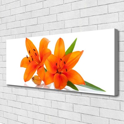 Canvas bild Orange växtblommor