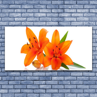 Canvas bild Orange växtblommor