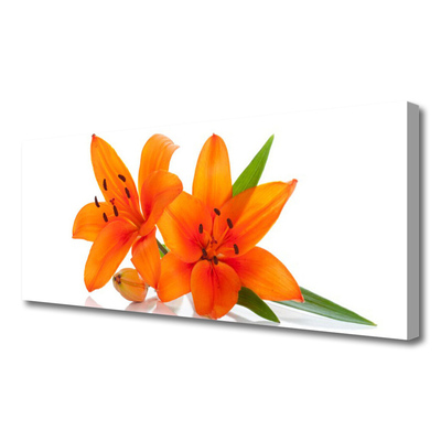 Canvas bild Orange växtblommor