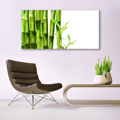 Bild canvas Bambuväxt