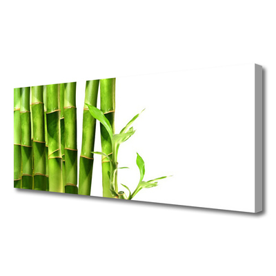 Bild canvas Bambuväxt