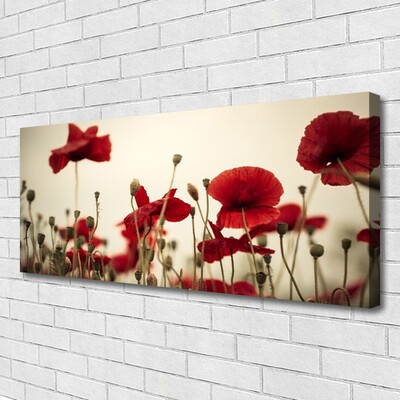 Fototryck canvas Vallmoblommor