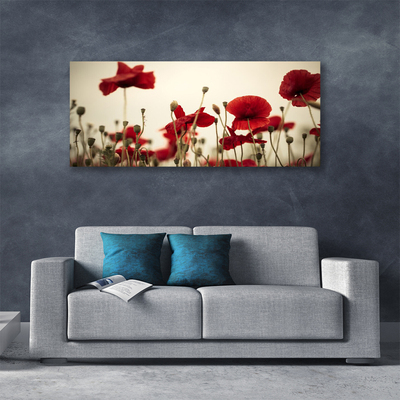 Fototryck canvas Vallmoblommor