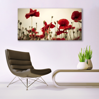 Fototryck canvas Vallmoblommor