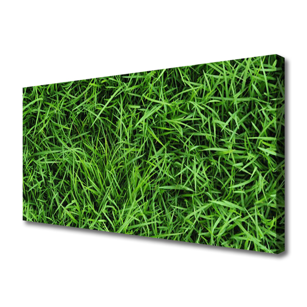 Canvas bild Gräs gräsmatta