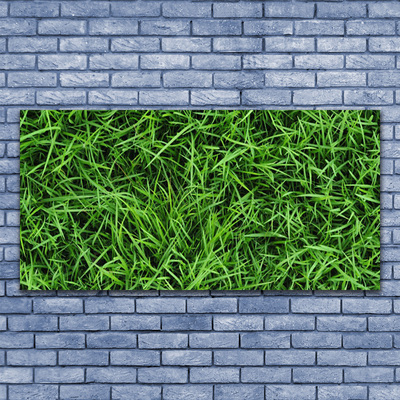 Canvas bild Gräs gräsmatta