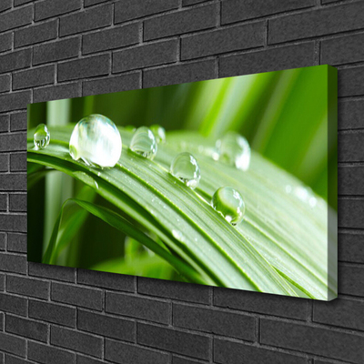 Bild på canvas Leaf Dew Drops
