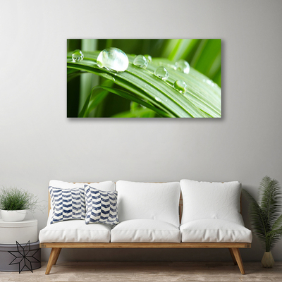 Bild på canvas Leaf Dew Drops