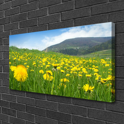 Bild canvas Maskros natur