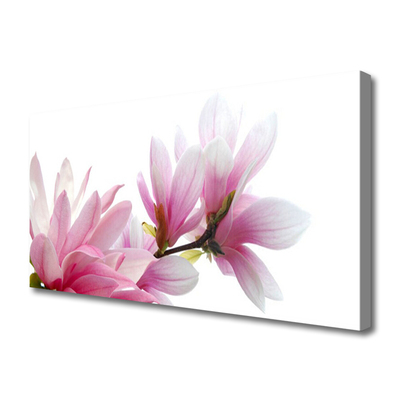 Fototryck canvas Magnolia blomma