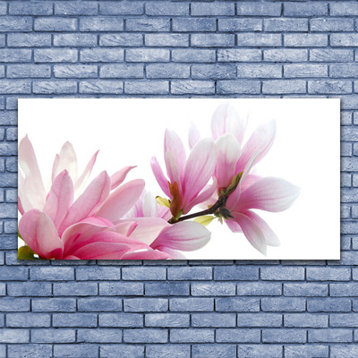 Fototryck canvas Magnolia blomma