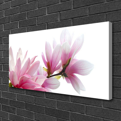 Fototryck canvas Magnolia blomma