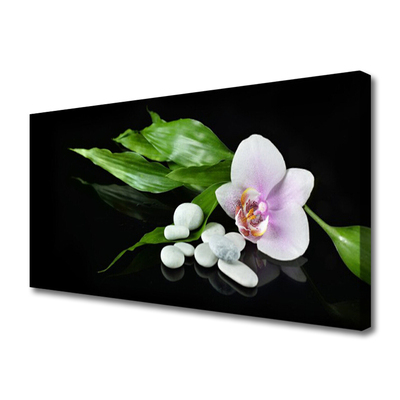 Canvas bild Blomma stenar blad