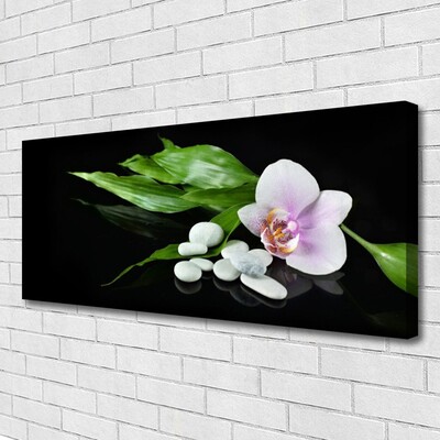 Canvas bild Blomma stenar blad