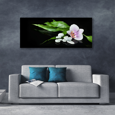 Canvas bild Blomma stenar blad