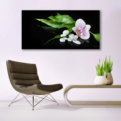 Canvas bild Blomma stenar blad