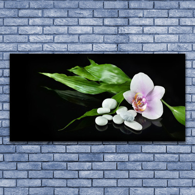 Canvas bild Blomma stenar blad