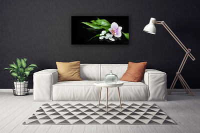 Canvas bild Blomma stenar blad