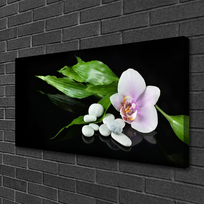 Canvas bild Blomma stenar blad