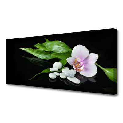 Canvas bild Blomma stenar blad