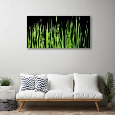 Canvas bild Gräsväxt