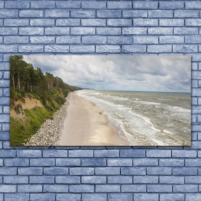 Foto på canvas Strand Havsträd Natur